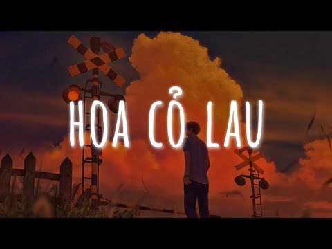 Video: Cỏ lau - một loại cỏ lâu năm