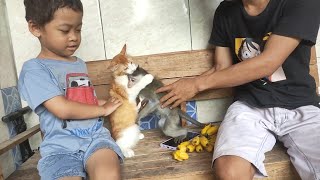 Kucing dan monyet bersahabat by Alif Sakha 51 views 1 day ago 4 minutes, 24 seconds