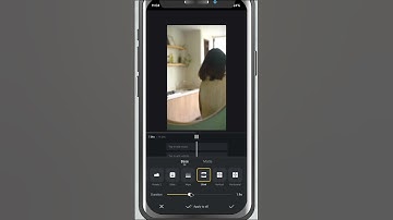 How to Add Eyes Blinking Transition in VN Video Editor - Lesson 47 VN Video Editor Tutorial