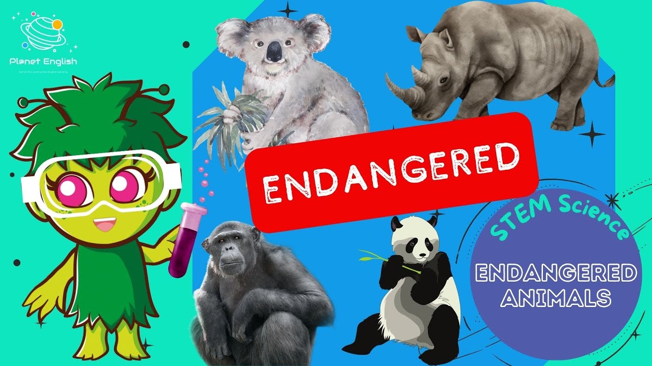 Endangered Animals Ks1 Science Stem