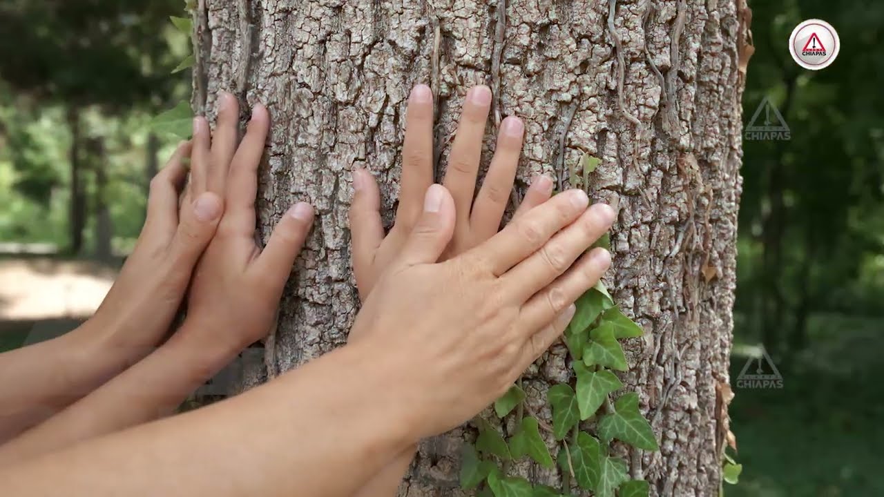Ante crisis ambiental en Suchiapa, sociedad civil ha tomado acción