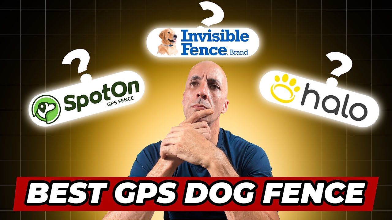 Best GPS Dog Fence? We Tested Them All So You Don’t Waste Money!