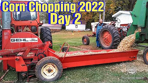 Chopping Corn 2022/Day 2