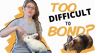 My Technique for Bonding Free Roam Rabbits