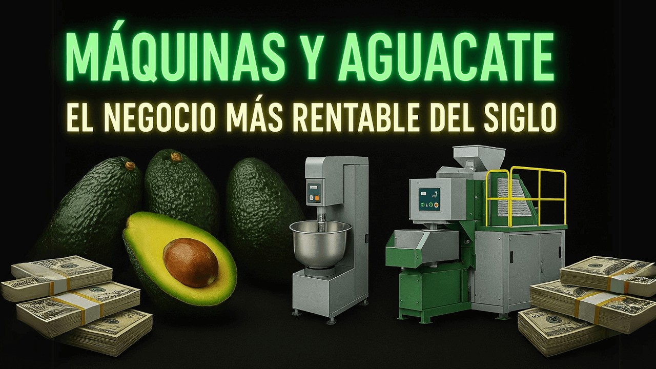 ♥️🥑 GANA DINERO con EL NEGOCIO DE LOS AGUACATES - EL NEGOCIO MILLONARIO que TODOS PUEDEN HACER