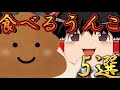 【ゆっくり糞茶番】食べれるうんこ5選