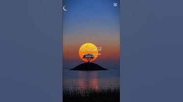 سورة الإخلاص #المصحف #اكسبلور #قرآن #ياسر_الدوسري