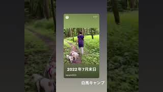 2022年テニス振り返り　@yuto.takahashi @tachchannel.tennis