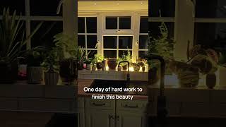 indoor plants #mentalhealth #anxietyrelief #stressrelief #gardentherapy #planttherapy