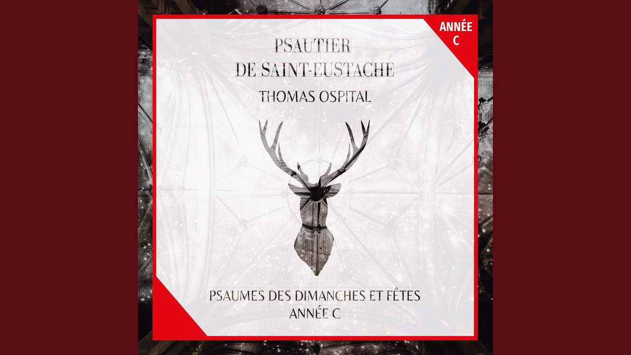 Смотреть «Psaume 91 "Il est bon, Seigneur, de te rendre grâce !" (11e dimanche du temps ordinaire, année...» на YouTube Смотреть «Psaume 91 "Il est bon, Seigneur, de te rendre grâce !" (11e dimanche du temps ordinaire, année...» на YouTube