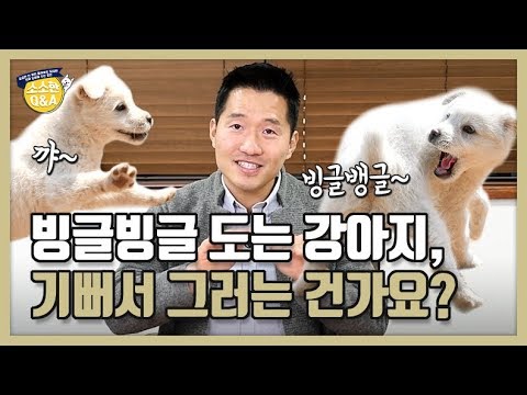 [Eng sub] 빙글빙글 도는 강아지, 기뻐서 그러는 건가요?｜강형욱의 소소한 Q&A