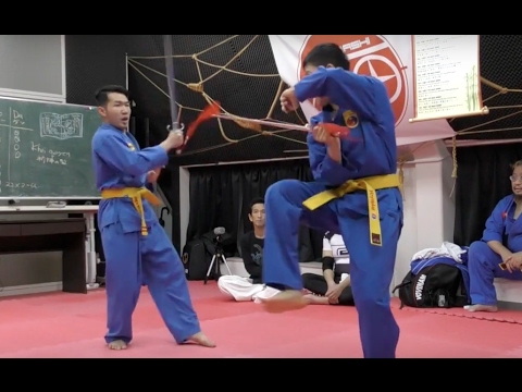 ボビナム PART17 VOVINAM ベトナム総合武術 格闘技 vovinam japan