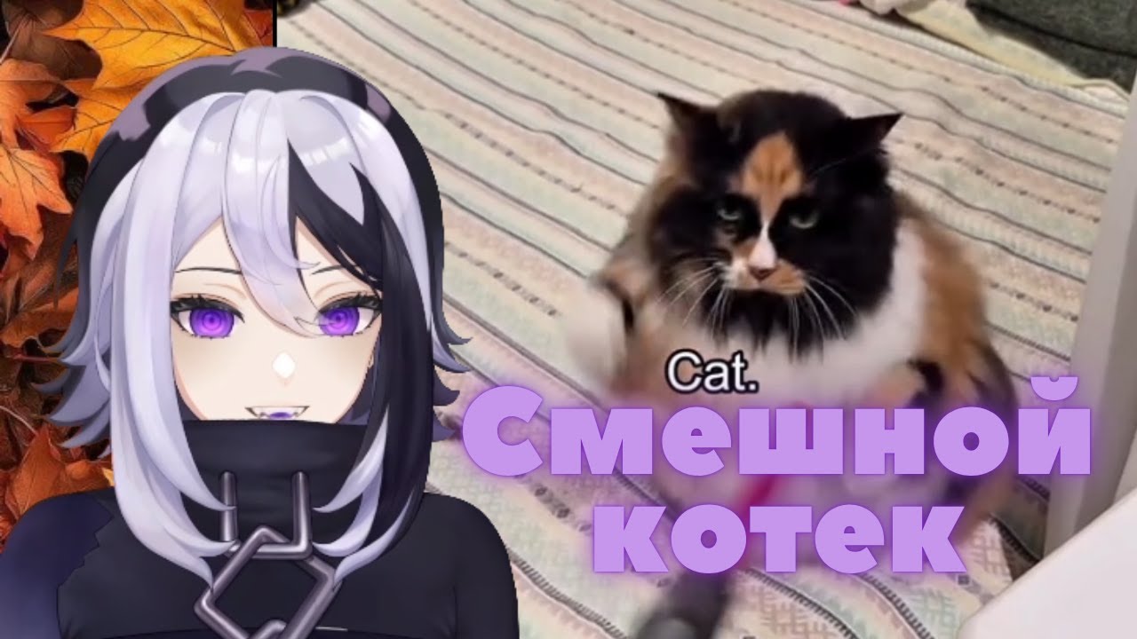 MeguBite смотрит приколы от подписчиков