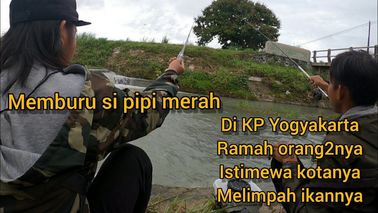 Mancing si Pipi Merah, Derbangan, Wader Abang, Wader Merah di Kulon Progo Yogyakarta