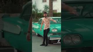 اجمل فيديو ل حماده نشواتي و الأسد مع أغنية مجنونك انا//روعة ??