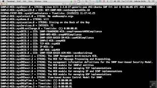 SNMP - scanning & Enumeration | www.onecyberforensic.com