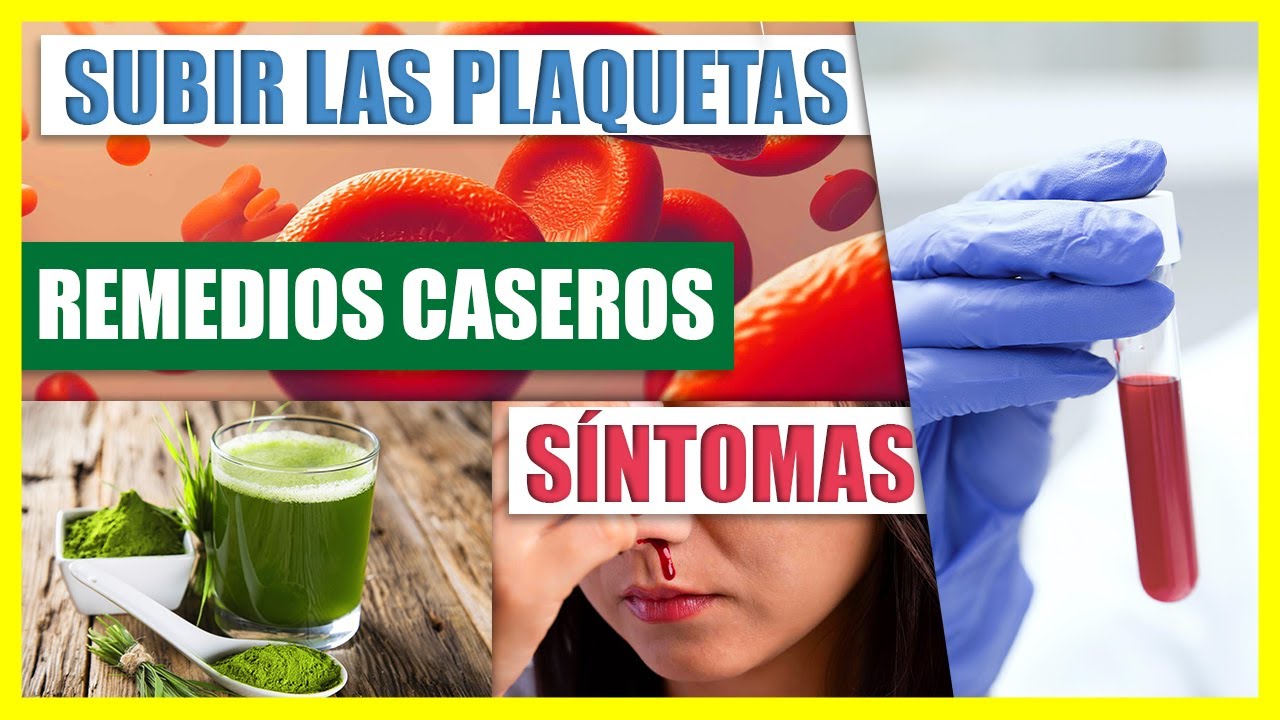Aumentar Las Plaquetas En Sangre - Vitaminas Importantes Para La ...