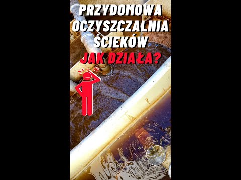 Wideo: Czy czyszczenie biologiczne działa?