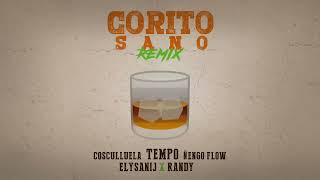 Tempo X Cosculluela X Ñengo Flow X Randy X Elysanij - Corito Sano (Remix) [Official Audio]