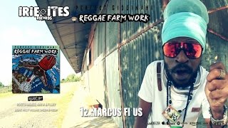 PERFECT GIDDIMANI - MARCUS FI US - IRIE ITES RECORDS