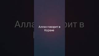Аллах говорит в Коране я ляму зна пайми 🫡👈💌👉🤲