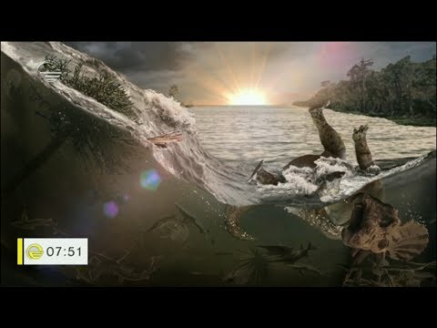 ნაპოვნია უძველესი ცხოველების ნეშთები, რომელიც ასტეროიდმა გაანადგურა