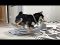 パジャマ泥棒を現行犯逮捕しました
