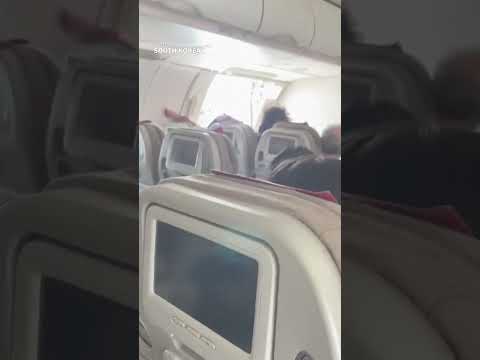 Passenger opens emergency exit door during flight #Shorts