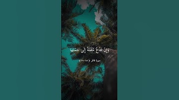 يَا أَيُّهَا النَّاسُ أَنْتُمُ الْفُقَرَاءُ || تلاوة خاشعة بصوت ماهر المعيقلي ارح سمعك .
