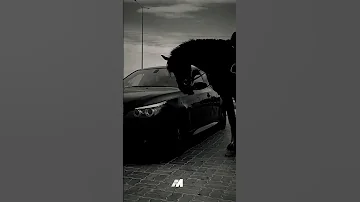 رميتني لحصاني وياميما انا خيال 