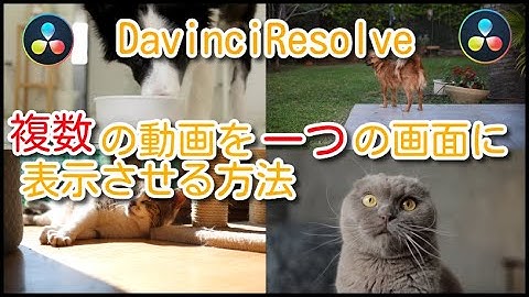 DavinciResolveで複数の動画を一つの画面に表示させる方法【無料動画編集】