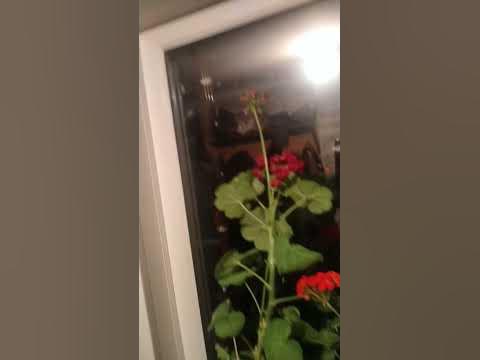 ужас - YouTube