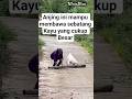 Kisah Haru Wanita Tua dan Seekor Anjing #warta #fakta #faktaunik #faktamenarik