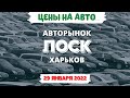 Авторынок ЛОСК 2022 январь| Автобазар Харьков ЦЕНЫ НА АВТОРЫНКЕ