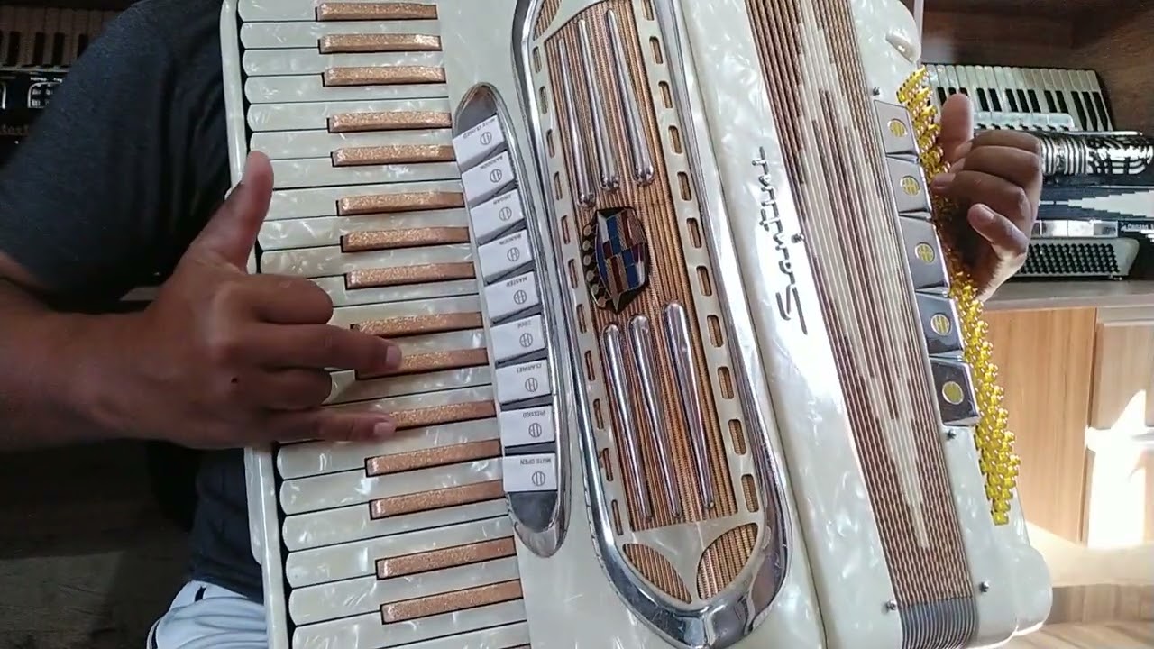 Video Aula Acordeon 