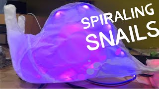 Project Uplift the Community: Spiraling Snails