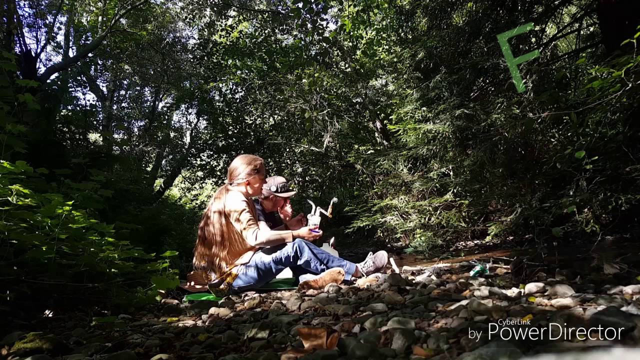 Banana slugs and Dabs in the woods