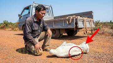 Tượng Đức Mẹ Rơi Giữa Đường Đá — Người Tài Xế Quỳ Xuống Vì Thứ Không Thể Giải Thích