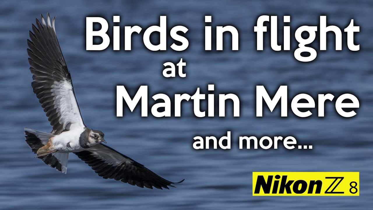 Bird Photography at Martin Mere Wetland Centre | Nikon Z8 & 180-600mm Lens