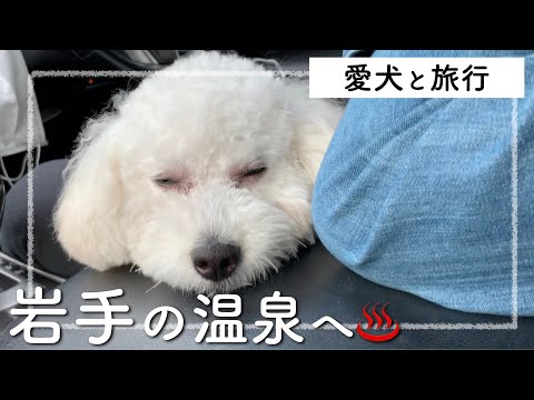 【愛犬と旅行】岩手温泉旅行_day1【温泉】