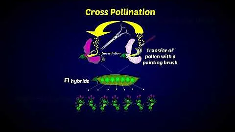 Hybridization in Plant Breeding - DayDayNews