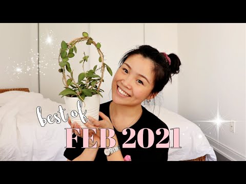 February Monthly Plant