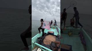 Why Are These Fishermen Jumping Into The Sea With Their Nets? #shorts