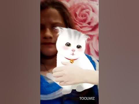 Милашка котик - YouTube