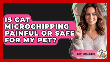 Is Cat Microchipping Painful Or Safe For My Pet? - Happy Cat Handbook