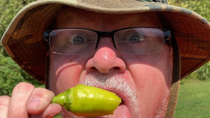 Hottest Banana Peppers I Have Ever Eaten | Hot Banana Peppers | Peppers | Bonnie Plants
