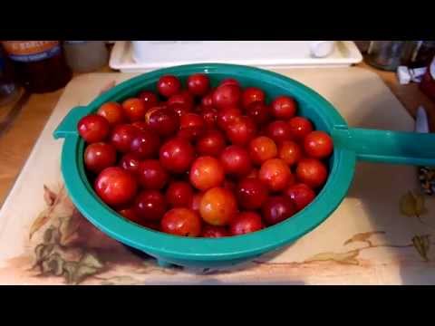 Video: Sådan Laver Du Sorttorn Og Kirsebærplommesyltetøj