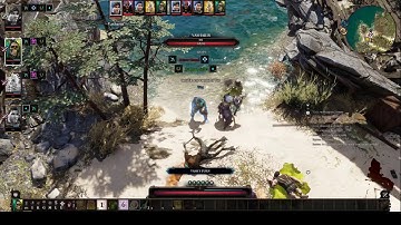 Divinity: Original Sin 2 Shenanigans 4 player co-op
