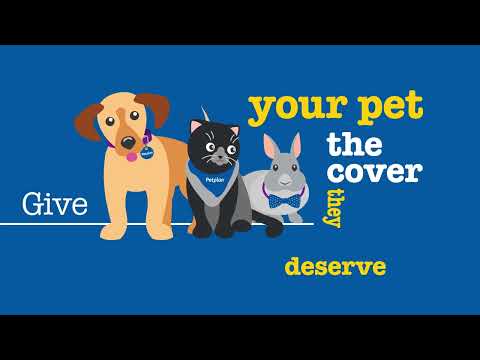 Petplan | Pet Insurance - Types Of Cover