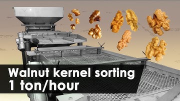 Vibrating sieve for sorting walnut kernels of 1000 kg per hour. Overview